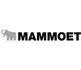 Corporate video production for Mamoet