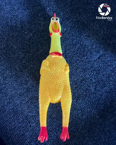 Rent Props: Toy Chicken