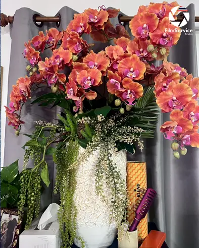 Rent Props:Fake American Dollars